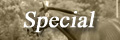 Special